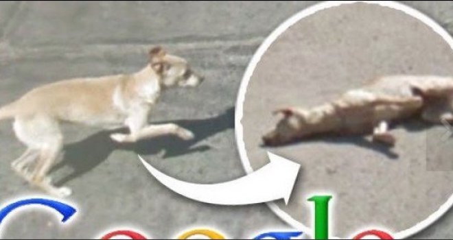 Google snimao ulicu, a ono što su snimili sve je šokiralo!