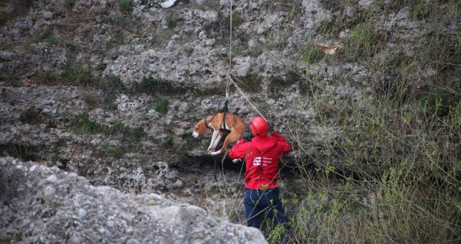 Spašen pas koji je desetak dana bio zarobljen ispod željezničkog mosta na Neretvi