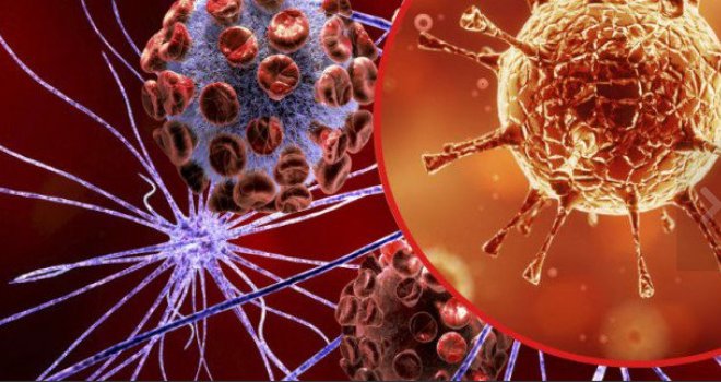 Virus u borbi sa stanicama raka: 'Uspjeli smo'