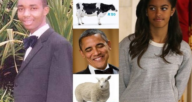On je naprosto 'odvalio' na Obaminu kćerku: Za njenu ruku nudi 50 krava, 70 ovaca i 30 koza!