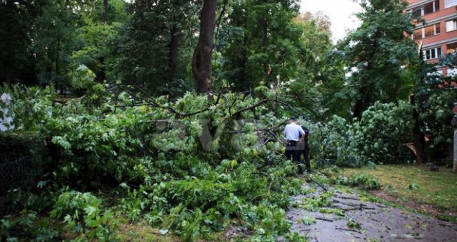 Sarajevo: Olujno nevrijeme srušilo stablo u Velikom parku!