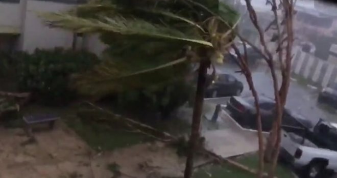 Uragan Maria obrušio se na Portoriko, čupa drveće, kida i nosi sve pred sobom