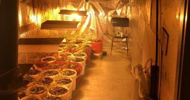 Policija usred Banjaluke otkrila laboratoriju za proizvodnju marihuane, pogledajte kako izgleda!