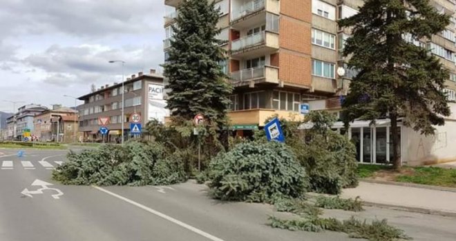 Vjetar napravio probleme širom BiH: Čupao stabla u Zenici i Banjaluci, letovi sa sarajevskog aerodroma obustavljeni