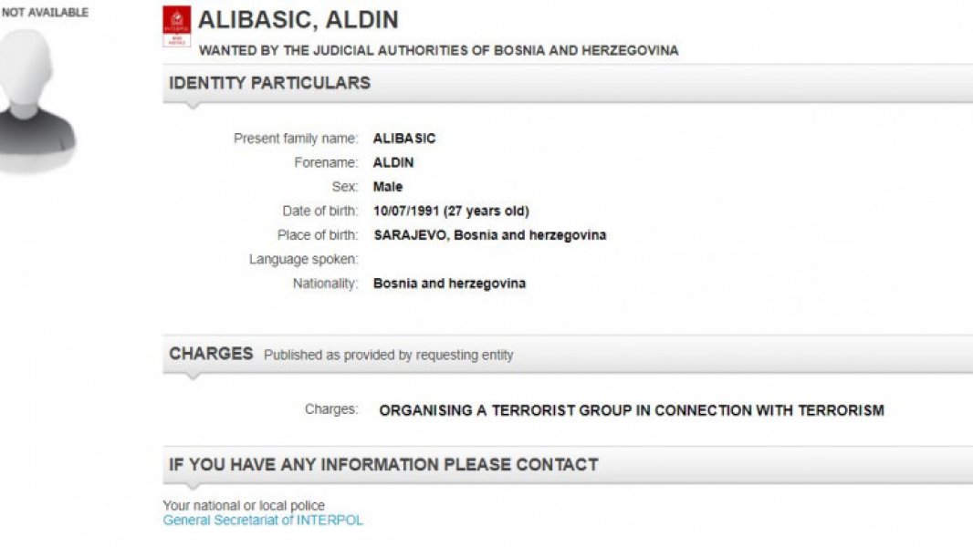 aldin-alibasic-interpol
