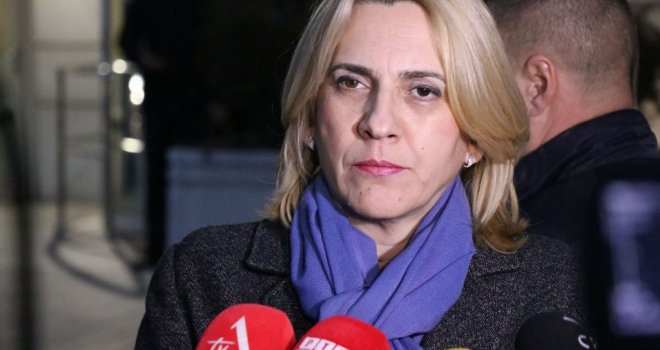 Cvijanović: RS ne podržava povećanje ministarstava u Vijeću ministara BiH