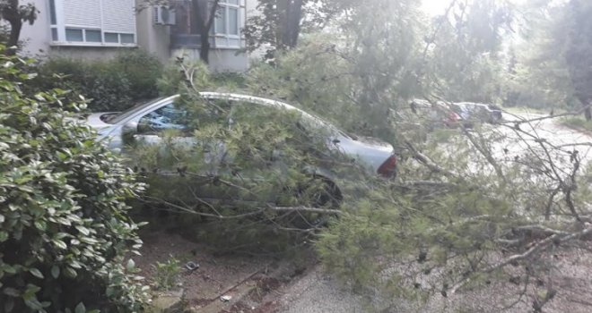 Jaki udari vjetra u Mostaru lomili stabla i oštetili dva automobila