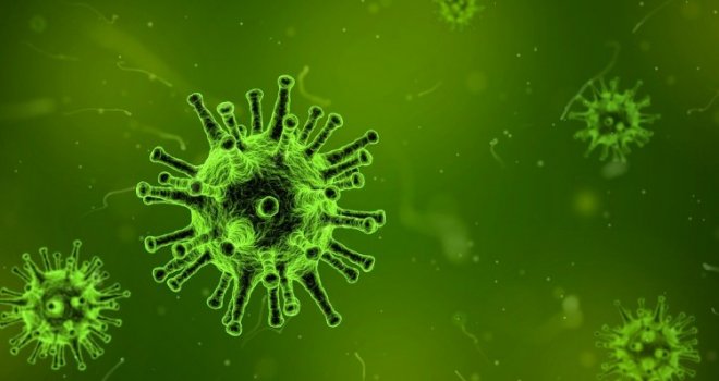 Svjetska zdravstvena organizacija: Koronavirus dobio zvanično ime
