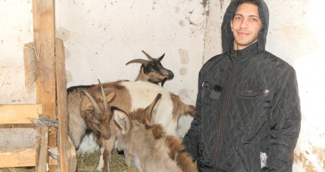 Priča dobila sretan kraj: Ismet započeo novi život na selu uz magarca i četiri koze