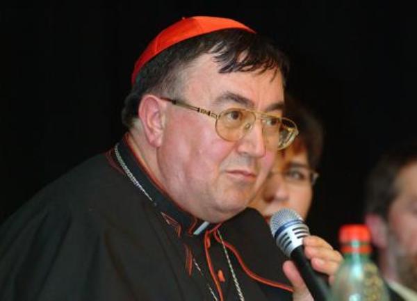 Kardinal Puljić
