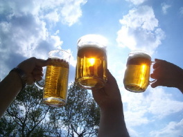 pivo-pivo