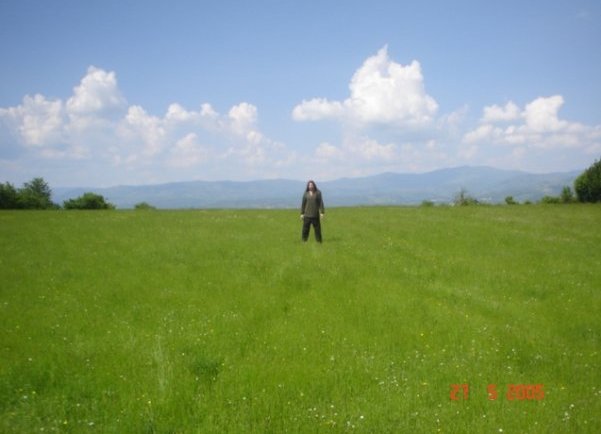 čaušević