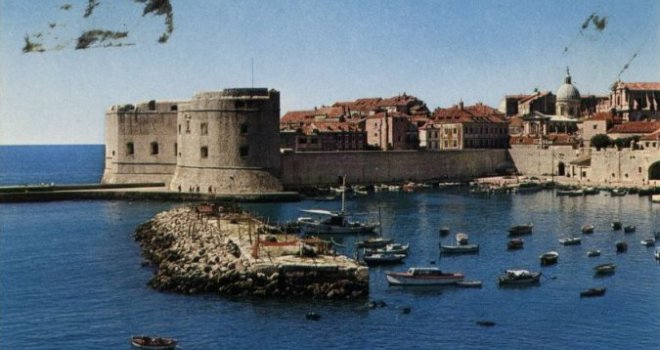 Ovo je fotografija mora u Dubrovniku: Osim što je odvratno prljavo, na površini plutaju mrtvi pacovi