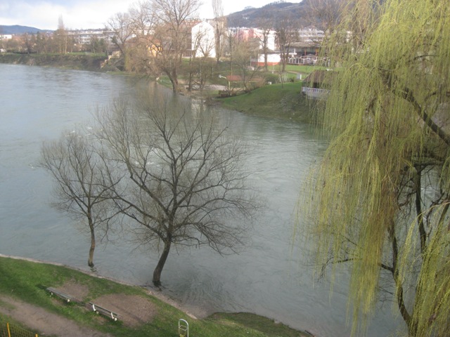 Vrbas okupan suncem