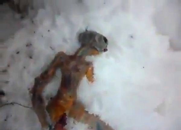 sibir vanzemaljac