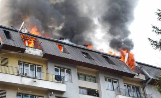 Požar u Beranima/FOTO: VIJESTI ONLINE