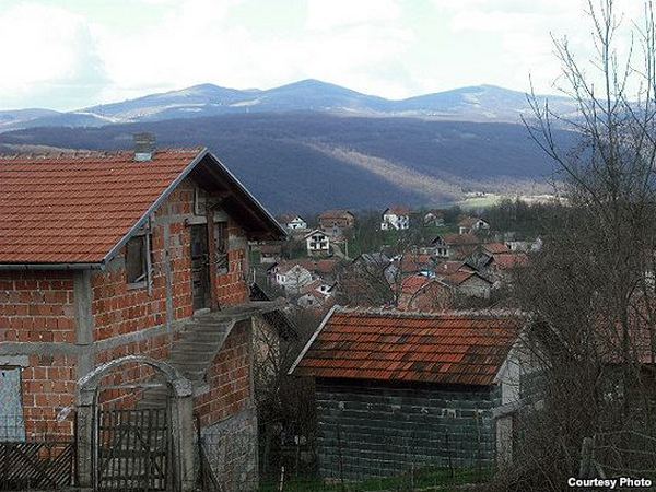 baljvine