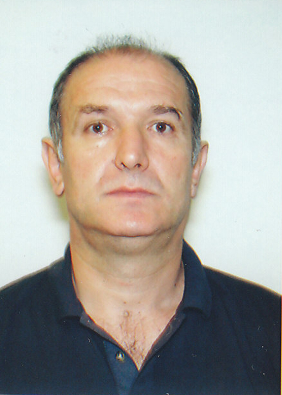 Dimtrije Karić