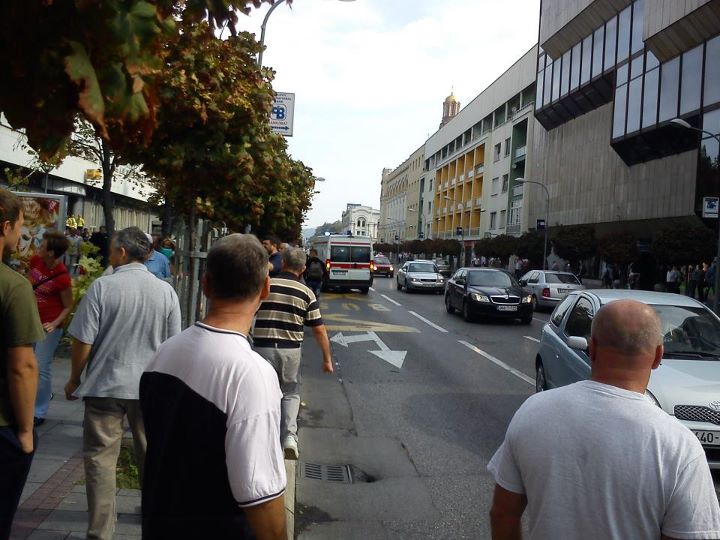 Palo stablo u centru Banjaluke