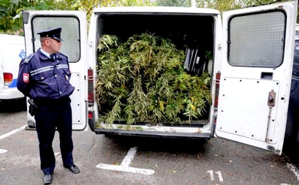 marihuana-banjaluka