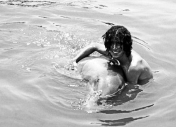 delfin1