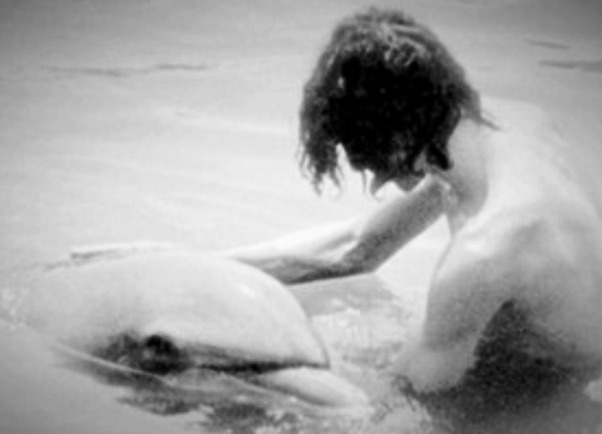 delfin2