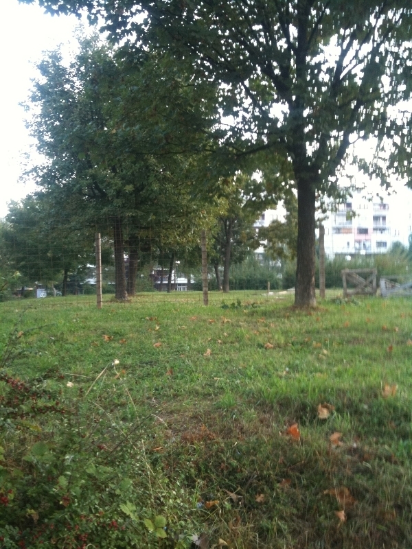 dobrinja_park