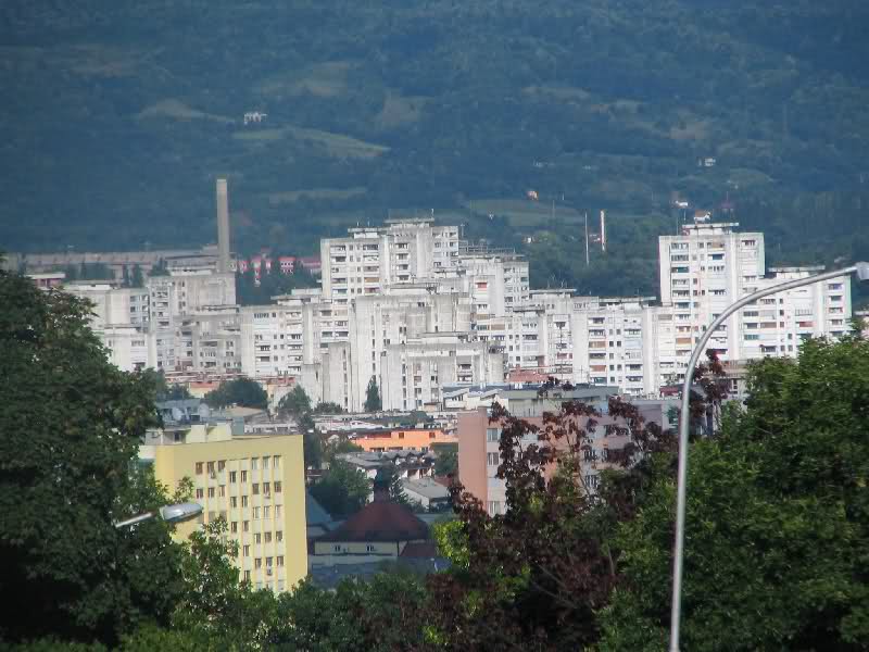 Naselje Borik