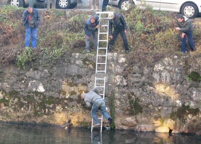 Spašavanje šteneta iz Miljacke