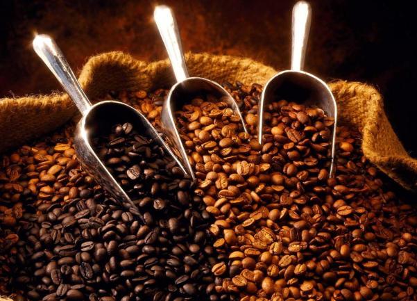 kafa naslovna
