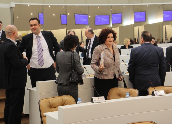 psbih budzet 2011