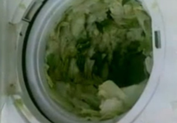 SALATA U MAŠINI ZA VEŠ