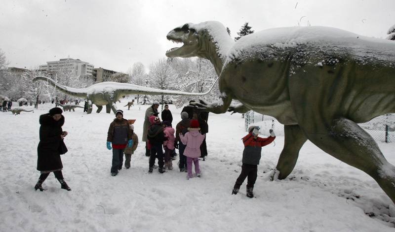 ''Svijet dinosaurusa' predstavlja postavku eksponata dinosaurusa u prirodnoj veličini koji su rekonstruisani pod strogim nadzorom Njemačkog paleontološkog istraživačkog centra i paleontološkog muzeja iz Hanovera/ Foto: DEPO PORTAL