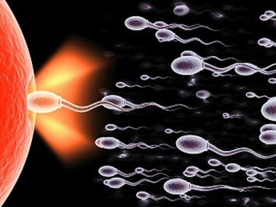 Gen u spermatozoidima ključan je za životni vijek muškarca