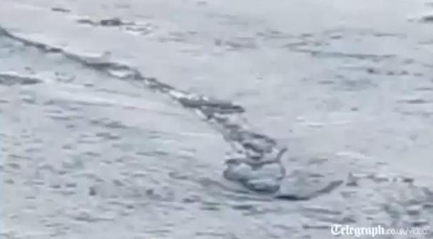 Čudovište iz rijeke Jokulsa