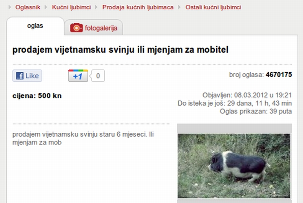 Oglas