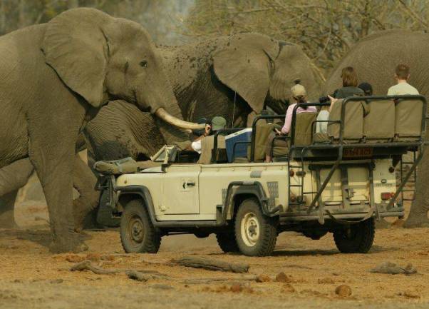 safari afrika