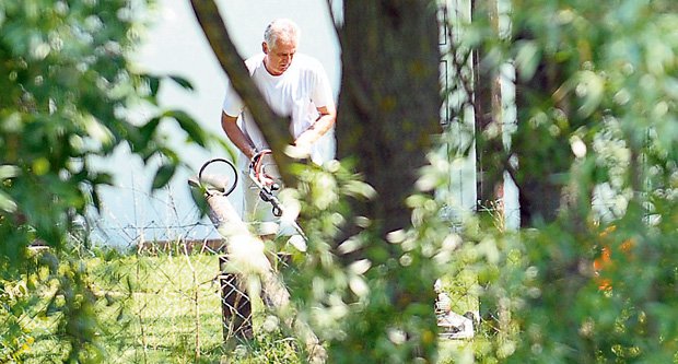nikolic kosi1