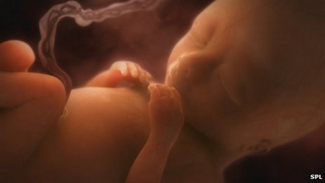 Dešifrovan genom ljudskog fetusa starog 18 nedjelja