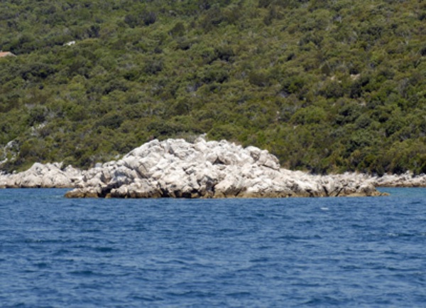 Mali škoj kod Kleka