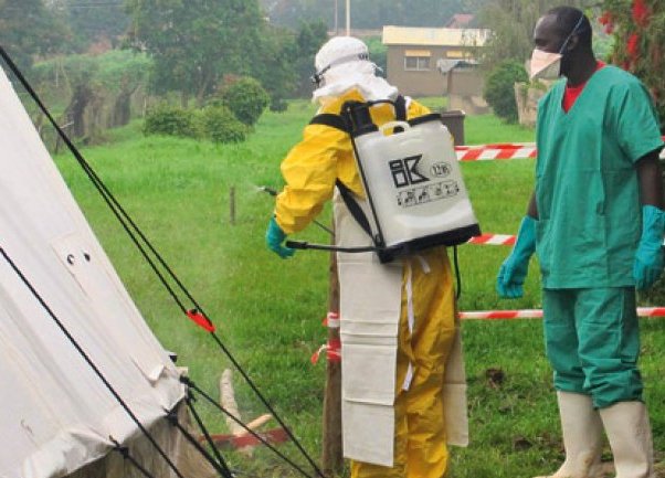 ebola karantena