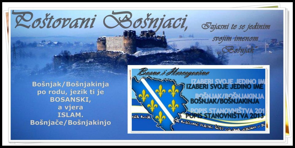 popis stanovništva u BiH