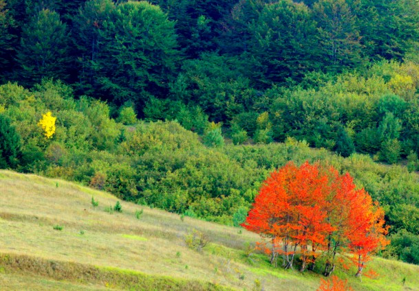 Jesen na Bjelašnici / Foto: Anadolija