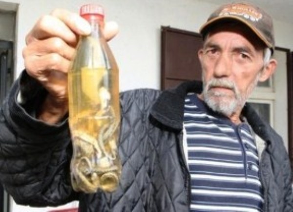 rakija poskokuša