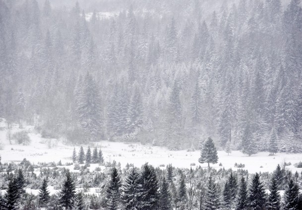 Bjelašnica pod snijegom/ Foto: Anadolija
