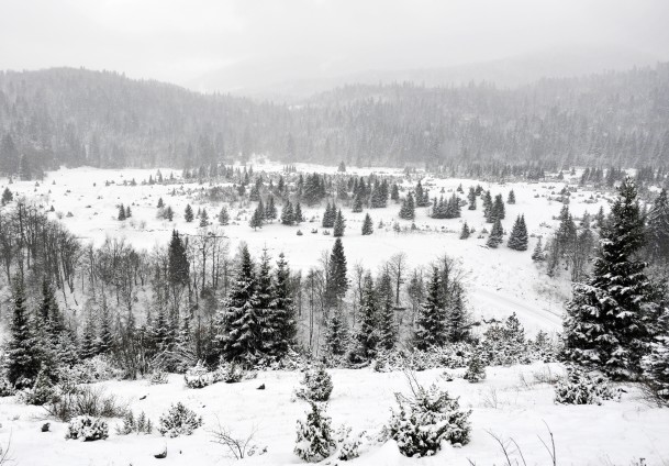 Bjelašnica pod snijegom/ Foto: Anadolija