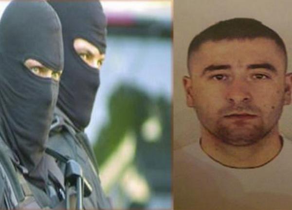 mladen zdrale