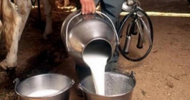 Litar mlijeka bit će kao litar goriva: 'Uskoro će enormno poskupjeti i sirotinja neće moći da ga kupuje, samo političari...'