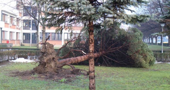 Ćudljivo vrijeme u februaru: Brze smjene toplo - hladno, u BiH sutra olujan vjetar!