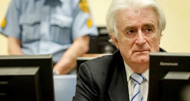 Karadžić tvrdi da nije imao fer suđenje, u žalbi nabraja '48 suštinskih i proceduralnih grešaka Sudskog vijeća'
